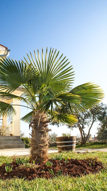Guest House Croatia Fazana Exterior photo